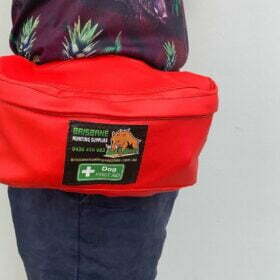 BHS Bum Bag with Ultimate Medical Kit & Belt –