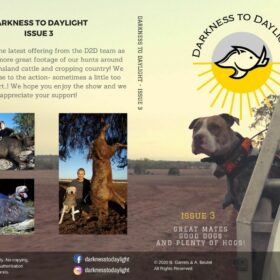 Darkness To Daylight Issue 3