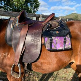 BHS Horse Saddle Bags –