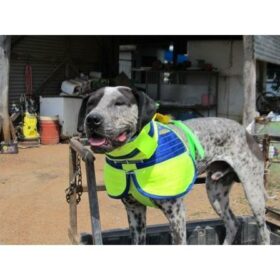 Duncan’s 3/4 Collar with Shoulder Flaps –