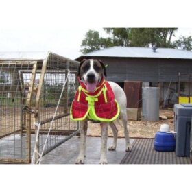 Duncan’s Full Body Collar with Shoulder Flaps –