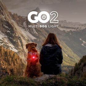 Ezydog Go-2 Dog Lights