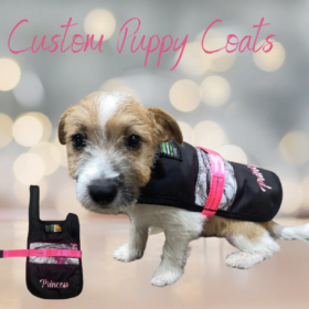 BHS Custom Oil Skin Puppy Coats with Name