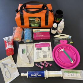 BHS Summer Essentials First Aid Kit